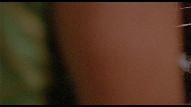 Lurkers Nude Scenes Naked Pics And Videos At Mr Skin