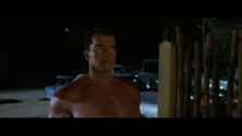Terminator3 schwarzenegger hd 02 small 3